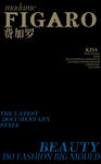 杂志  封面 模板