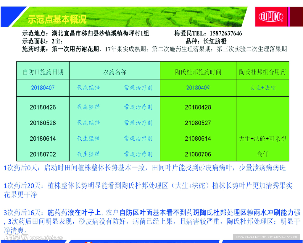 陶氏杜邦