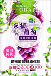 采摘葡萄海报