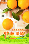橙子海报