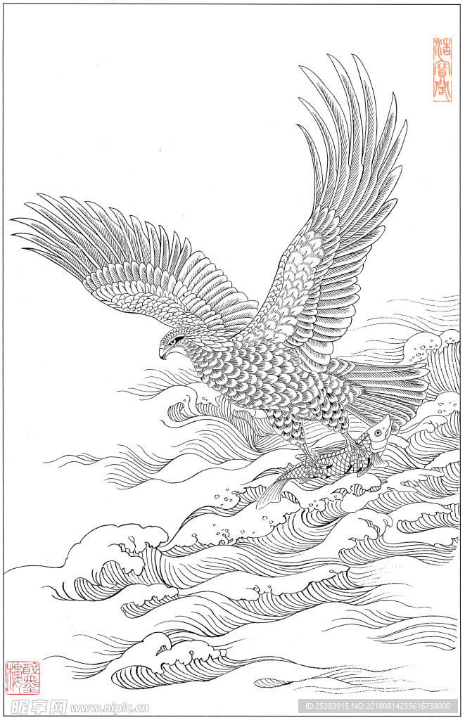 鹰
