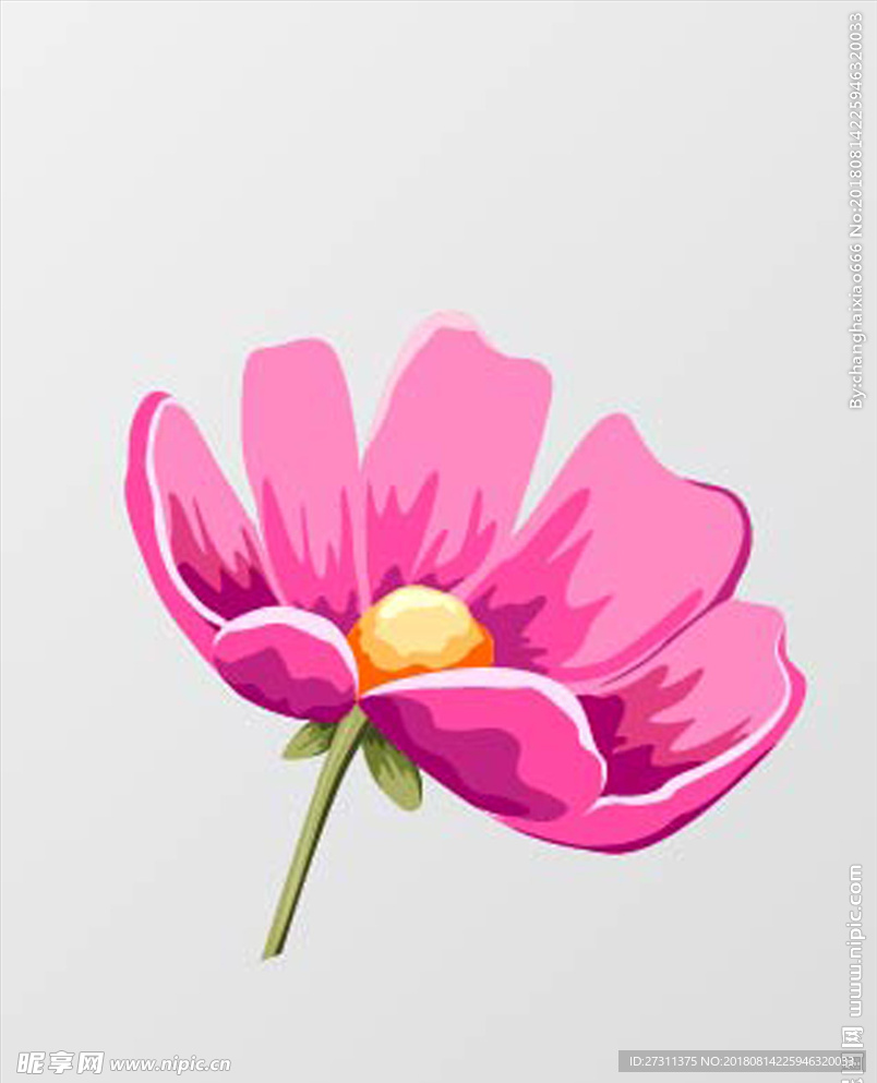 花纹边框图片