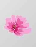 小花图片