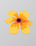 小花图片