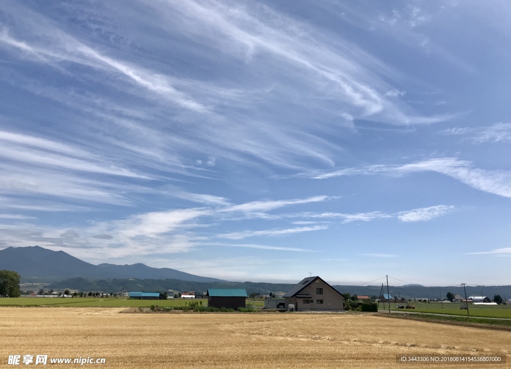 北海道富良野收割后田园风光