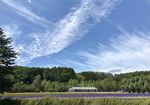 北海道富良野蓝天下花田
