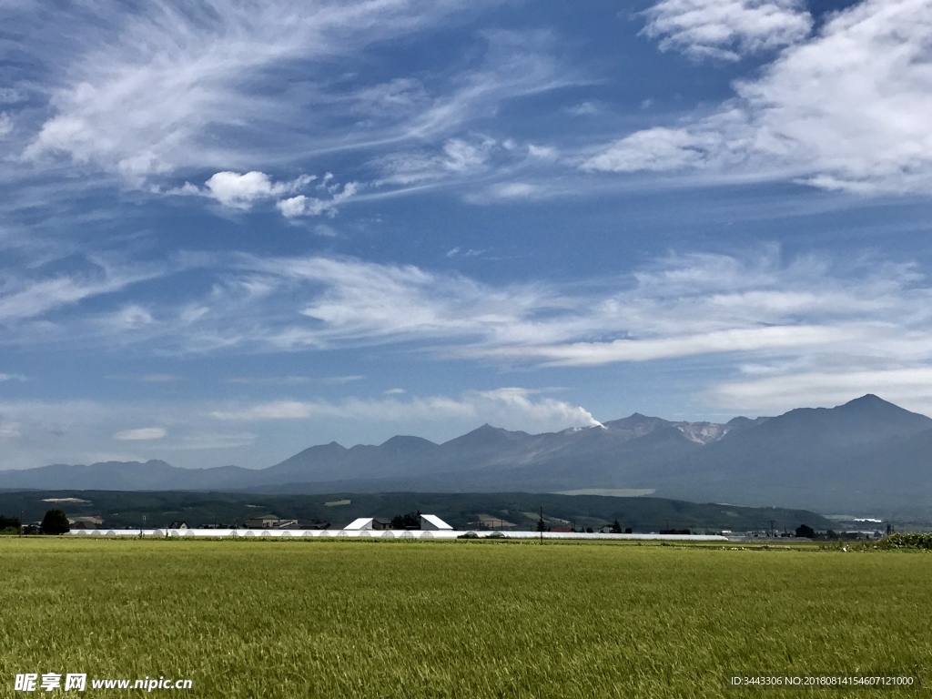 北海道富良野远山