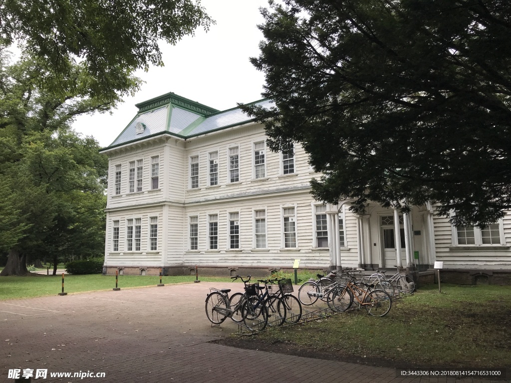 札幌北海道大学校园景色