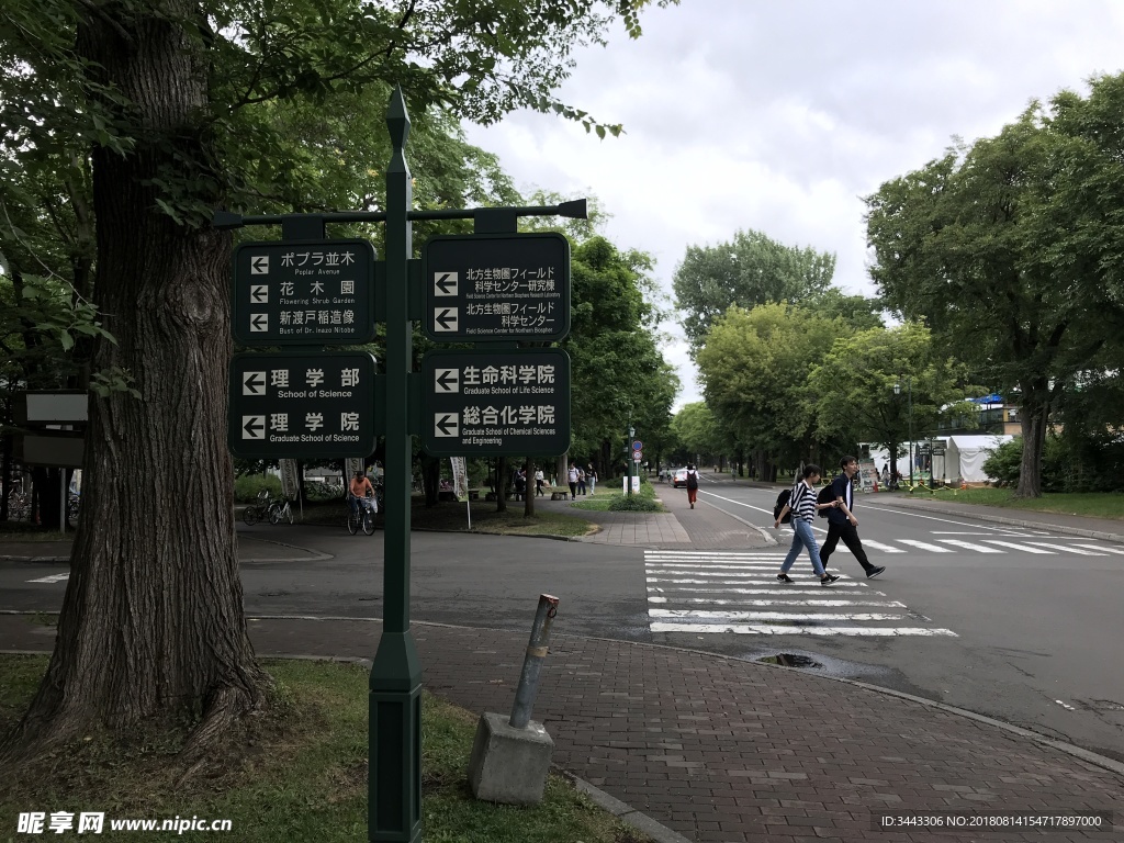 札幌北海道大学校园