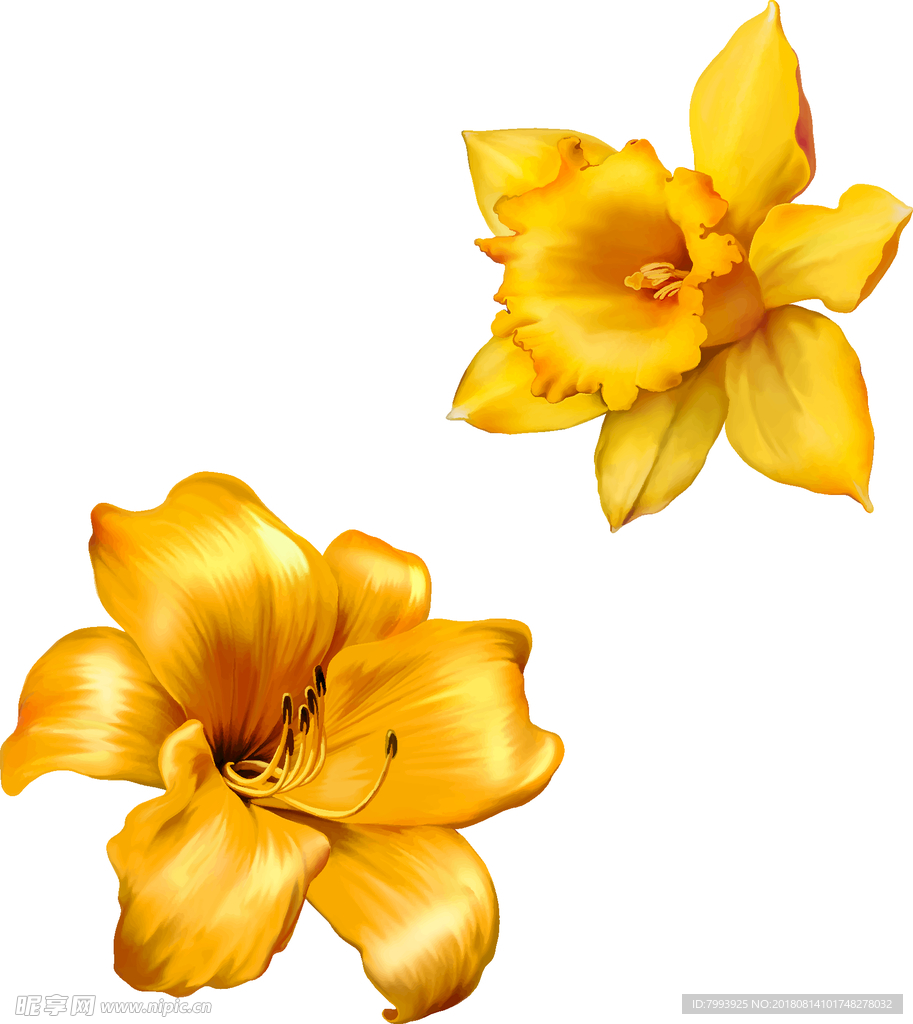 矢量鲜花
