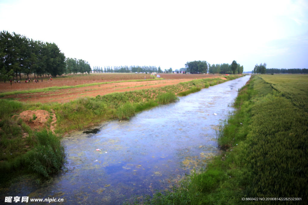 河水清清