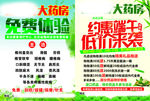 大药房 药房宣传单