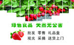 绿色食品  草莓  名片