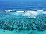 海水