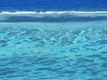 海水