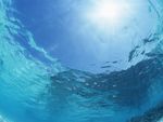 海水