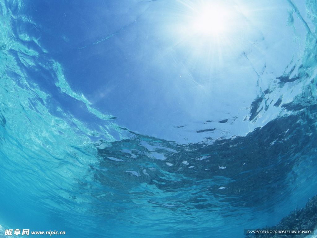 海水
