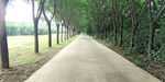 路
