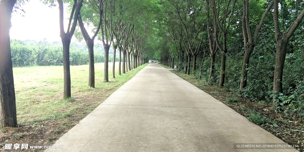 路