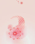 花纹