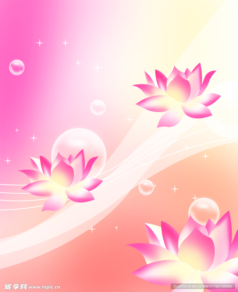 莲花