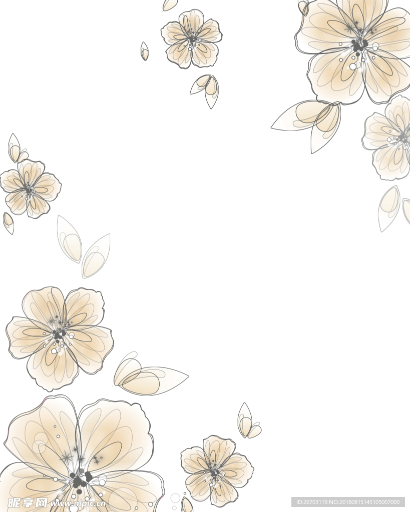 花纹