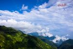 山