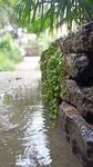 秋雨景观