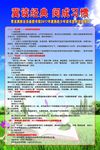 读书 学习 蓝天 绿草地