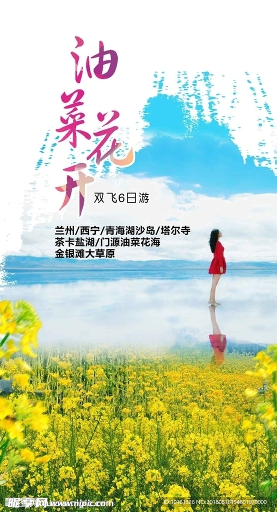 油菜花