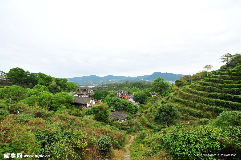 茶翁古镇全景