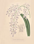 装饰画