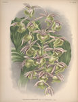 装饰画 欧美装饰画 手绘花卉