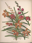 装饰画 欧美装饰画 手绘花卉