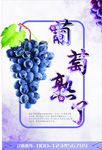 葡萄海报