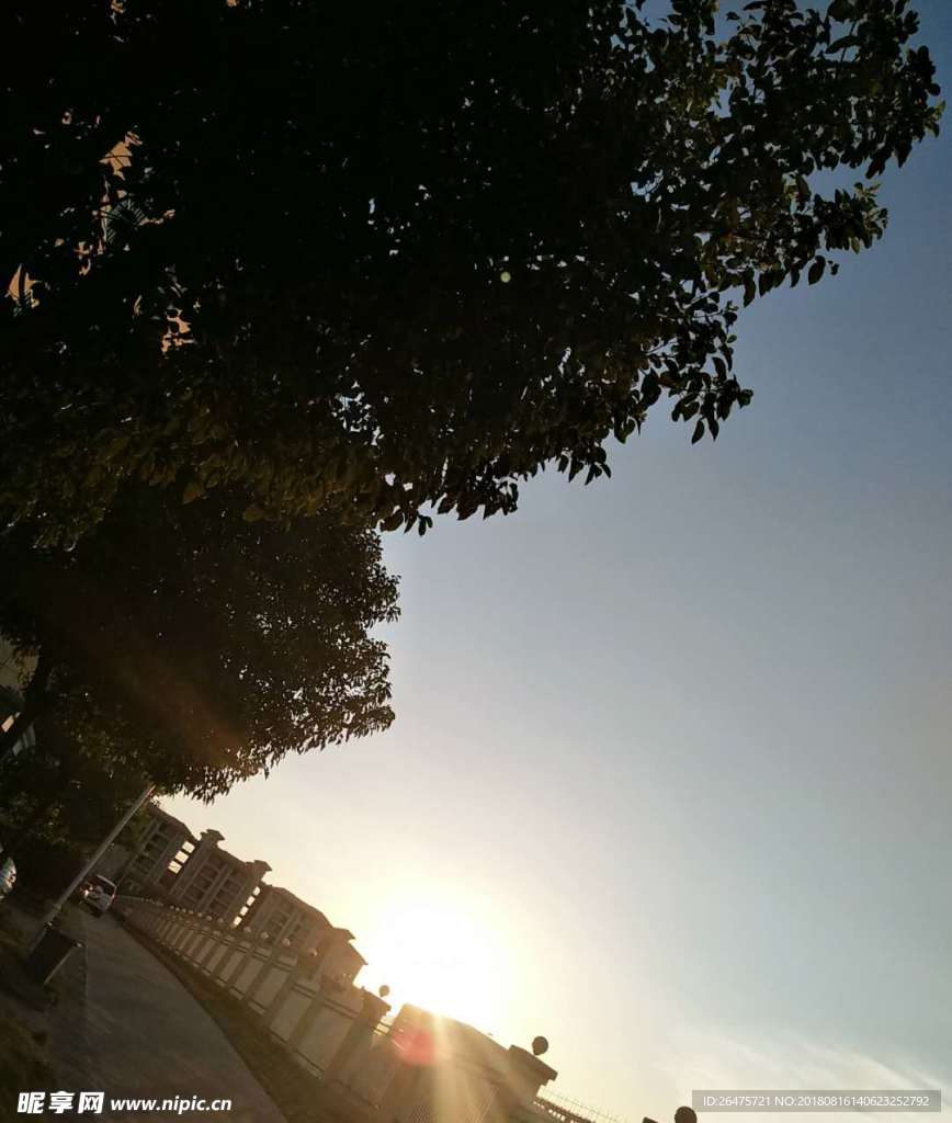 阳光