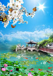 荷花