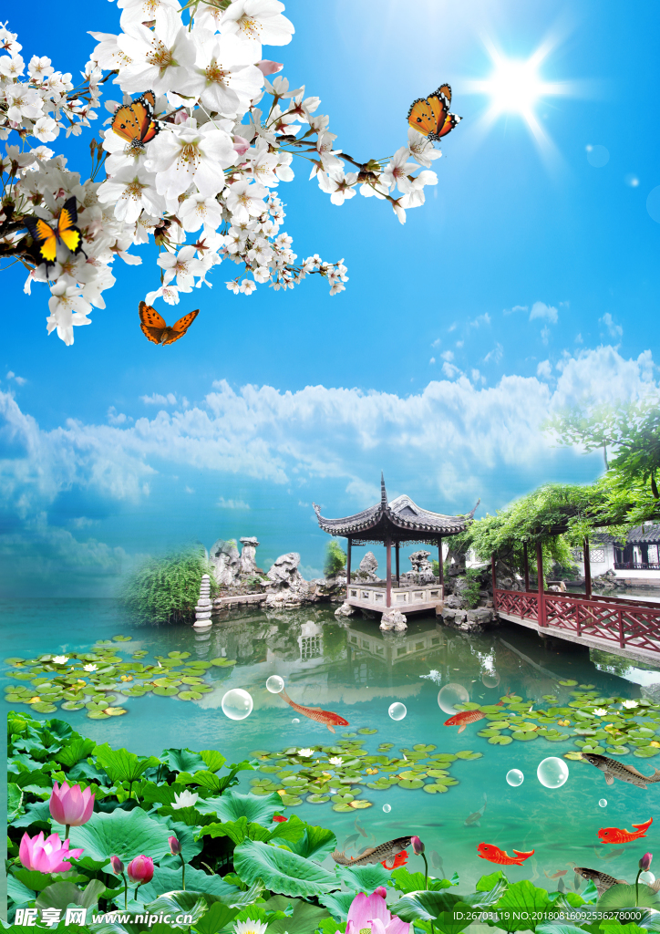 荷花