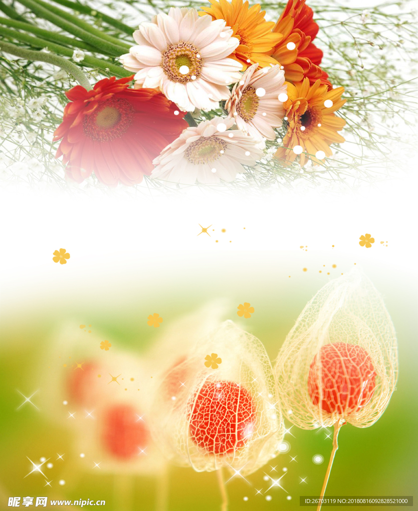 菊花
