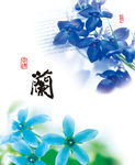 兰花