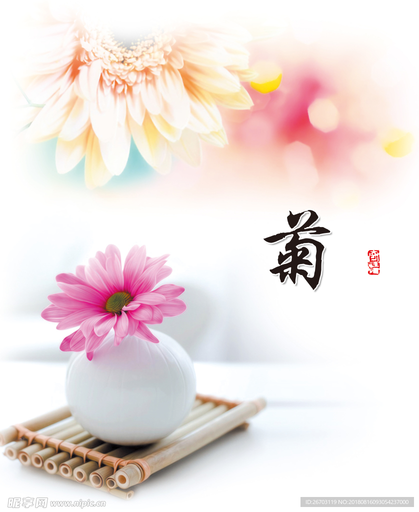 菊花