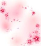花朵