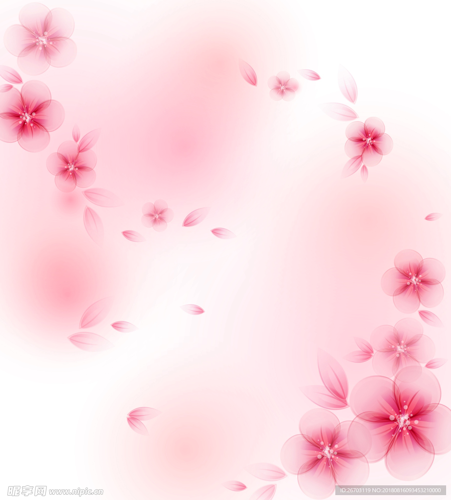 花朵