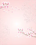 花纹