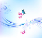 蝴蝶  花