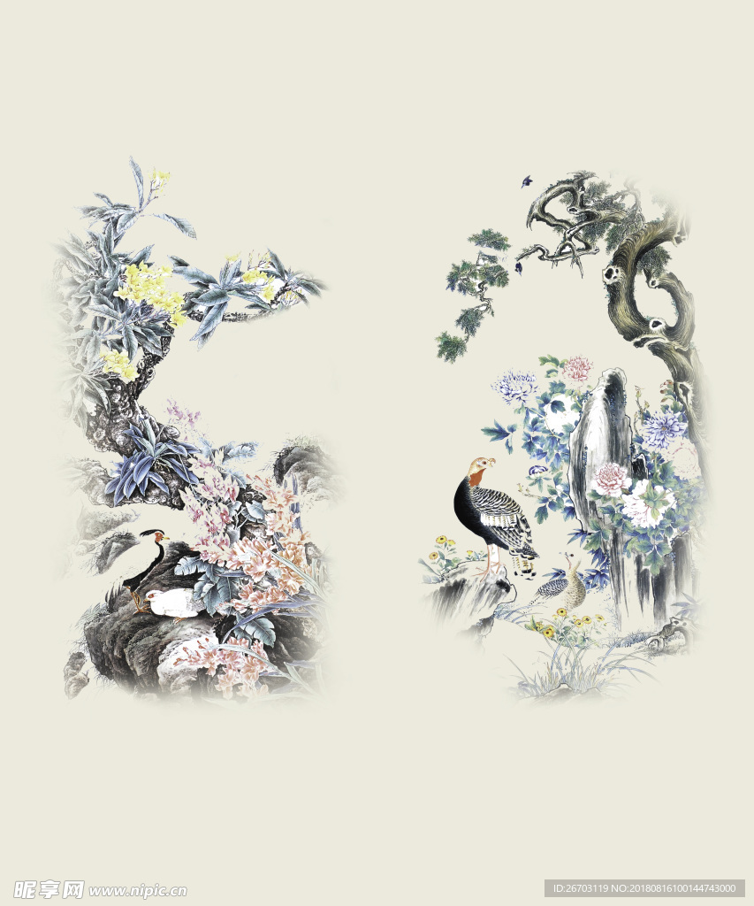 鸟
