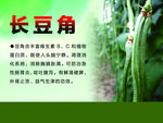 长豆角