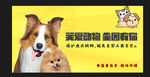 关爱动物全因有你公益宣传海报