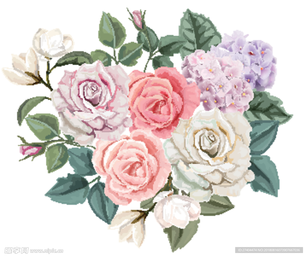 矢量花纹花边