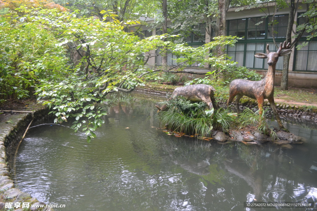 庐山风景